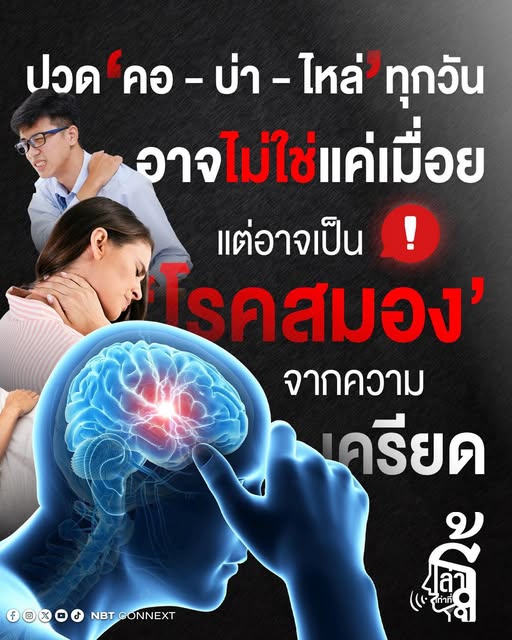 เครียดสะสม ทำงานหนัก ปวดคอ บ่า ไหล่ นวดเท่าไรก็ไม่หาย แพทย์ชี้ ต้นเหตุไม่ใช่กล้ามเนื้อ แต่สมองเปิดโหมดเครียดตลอดเวลา