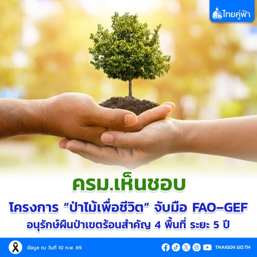 ครม.เห็นชอบ โครงการ &ldquo;ป่าไม้เพื่อชีวิต&rdquo; จับมือ FAO&ndash;GEF อนุรักษ์ผืนป่าเขตร้อนสำคัญ 4 พื้นที่ ระยะ 5 ปี